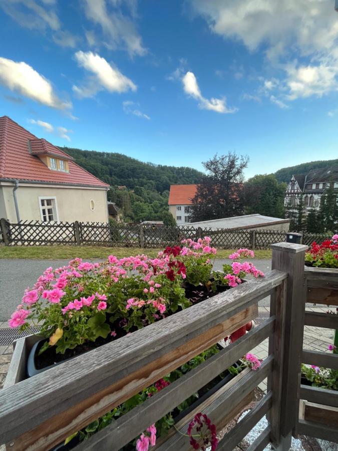 Ferienwohnung An Der Thyrahoehe Stolberg  Bagian luar foto